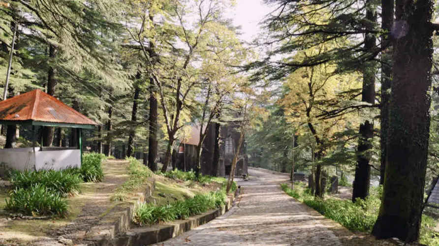 Mcleod Ganj - Most Visited Places in Himachal Pradesh